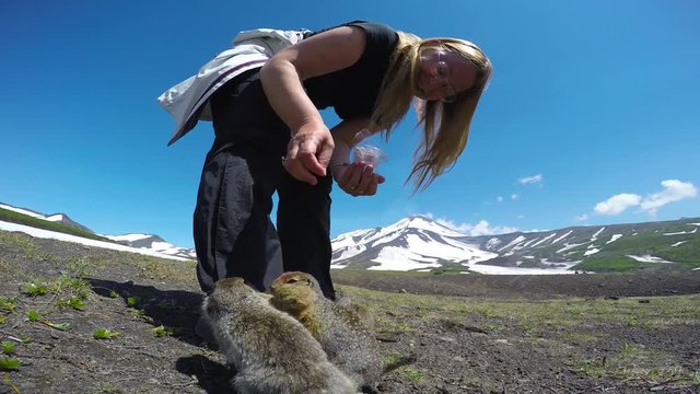 Очень доверчивые камчатские суслики (евражки). Долина вулканов Корякский и Авачинский.