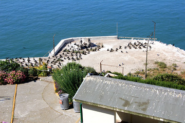 outdoor of old prison building in Alcatraz, San Francisco CA
