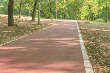 Red track rubber made from crumb and flexible core for running in the forest
