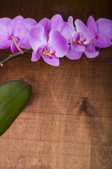 Fototapeta na wymiar Orchid (Phalaenopsis) on a wooden table