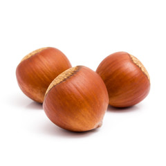 Fresh three hazelnuts isolated on white background. 
