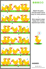 Obraz premium Visual logic puzzle or picture riddle: Match the pairs - find the exact mirrored copy for every row of cute little ducklings. Answer included. 