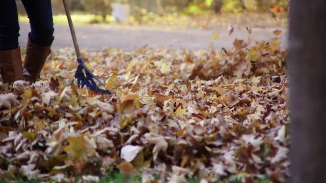 Family raking leaves