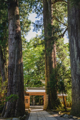白山比咩神社　参道風景