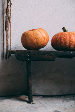 Pumpking in rustic wooden settle