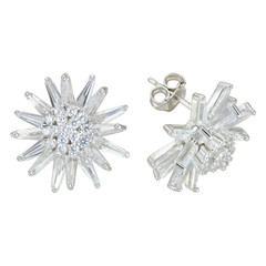 Sterling Silver Earrings isolated on white