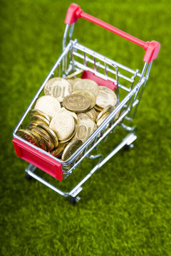 Shopping trolley with coins