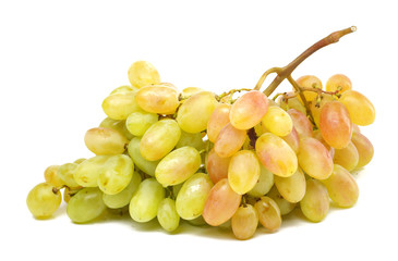 grapes bunch of ripe berries on white background