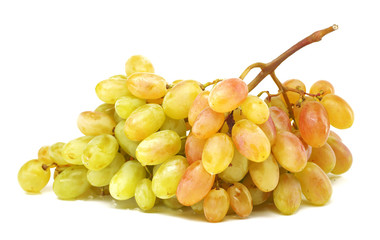 grapes bunch of ripe berries on white background
