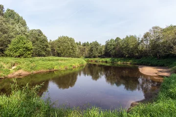 Foto op Plexiglas landschap aan een kleine rivier © Maslov Dmitry
