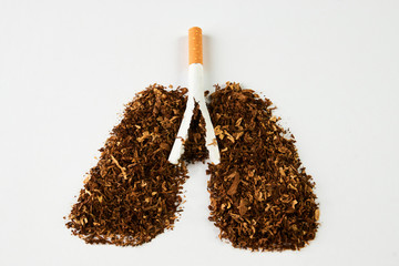 Cigarette smoker's lungs isolated on white background