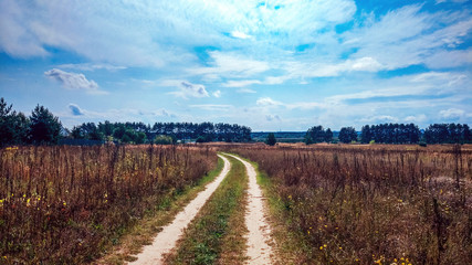 Fototapeta na wymiar Summer country road and fields on the background of the blue beautiful cloudy sky and beautiful forest. Distance of highway. The concept of the right way