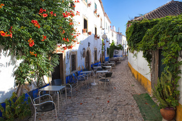 Narrow street in the medieval Portuguese City of Obidos