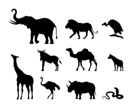 Collection of black silhouettes of African animals. The nature of Africa. Elephant, rhinoceros and lion on white background. Vector illustration