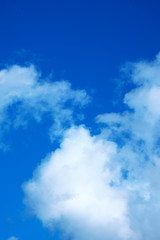 Obraz premium 青空
