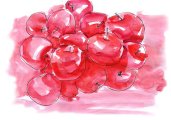 Obraz na płótnie Canvas Red and pink fresh apples ornament pattern
