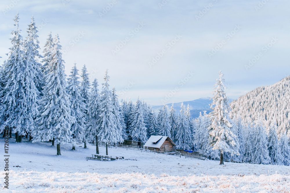 Wall mural cabin in the mountains in winter. mysterious fog. in anticipation of holidays. carpathians. ukraine,