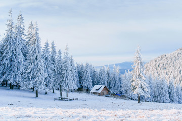 Cabin in the mountains in winter. Mysterious fog. In anticipation of holidays. Carpathians. Ukraine, Europe