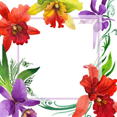 Wildflower orchid flower frame in a watercolor style. Full name of the plant: colorful orchid. Aquarelle wild flower for background, texture, wrapper pattern, frame or border.