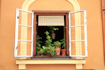 Flowers in the open window of the historic house in Old Town in Cesky Krumlov, Czechia, Heritage Unesco.
