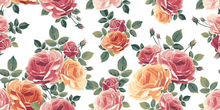 Seamless pattern with roses. Vintage floral background. Vector illustration