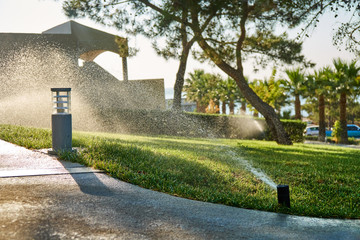 Garden automatic irrigation system. Smarter lawn sprinkler system - obrazy, fototapety, plakaty