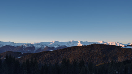 Winter landscape of a mountain range at sunrise. Pine forest at the foreground