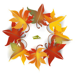 The frame from autumn leaves