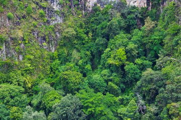 Fototapeta na wymiar Aerial view of rain forest, Medan, Indonesia.