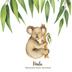 Watercolor vector green floral card with eucalyptus leaves and Koala isolated on white background. © ElenaMedvedeva