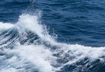 White crest of a sea wave. Selective focus. Shallow depth of field