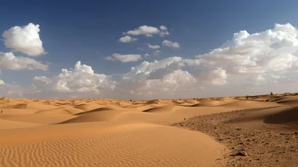Foto auf Acrylglas Deserto Sahara in Tunisia, nuvole e dune di sabbia © Paolo Goglio