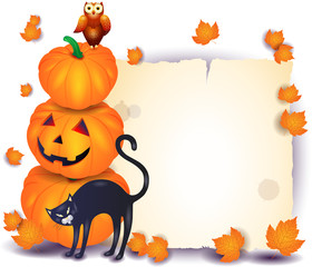 Halloween background with parchment, pumpkin, cat isolated on white