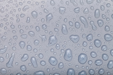 Drops of water on a color background. Gray. Selective focus