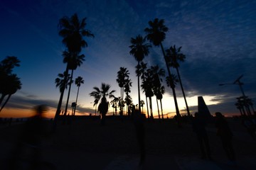 venice beach sunset