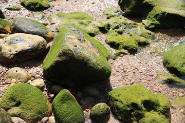 Rocks.
