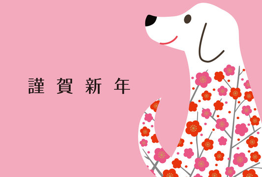 白い犬 Images Browse 805 Stock Photos Vectors And Video Adobe Stock