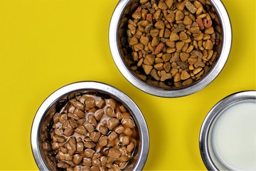 An Image of cat food with colorful background 