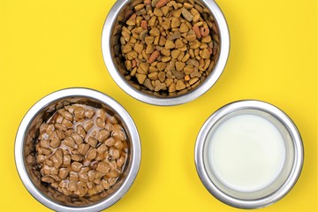 An Image of cat food with colorful background 