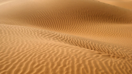 Dune di sabbia nel deserto Sahara tunisino - obrazy, fototapety, plakaty