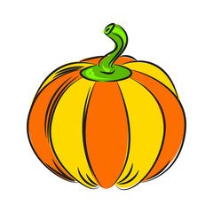 Pumpkin, vintage style illustration with outline