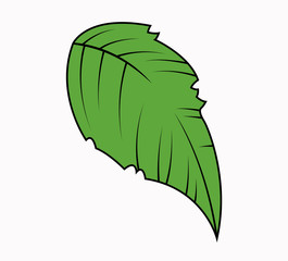 Green Leaf Vector