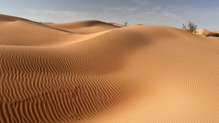 Fototapeta na wymiar Dune di sabbia nel deserto Sahara tunisino
