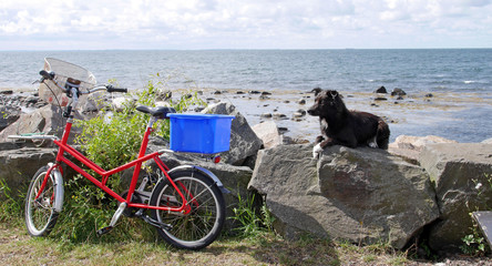 Obraz premium Auszeit am Meer