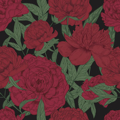 Beautiful floral seamless pattern with vinous peonies and green leaves on dark background. Blooming flowers hand drawn in antique style. Botanical vector illustration for fabric print, wallpaper.