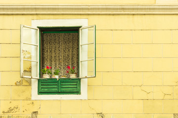 Fototapeta na wymiar An open green and white window on an old yellow deteriorated building with a white old curtain and flowers in vintage flower pots