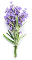 Fototapeta premium Bunch of lavandula or lavender flowers isolated on white background.