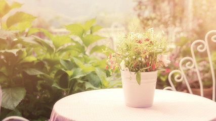 Flower in a white pot on a table, soft vintage style.