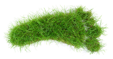Grüner Fussabdruck - Gras