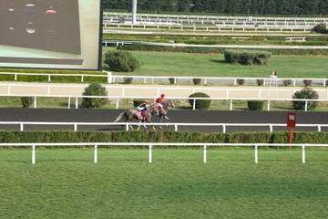Horse Racing